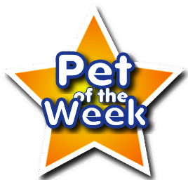 a potw badge